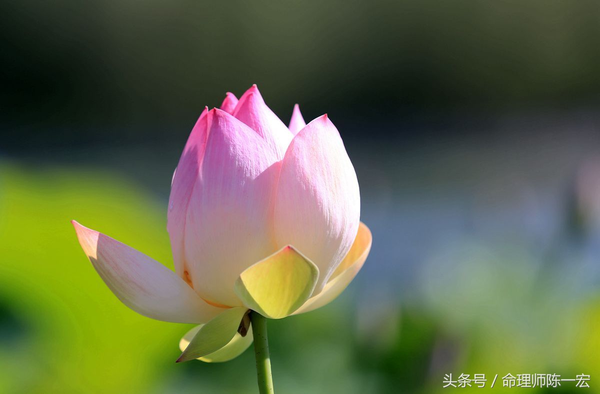 学会在生活中修行,如何学会禅修