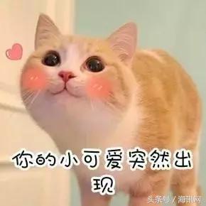 海淘鞋码对照表,海淘鞋子直邮