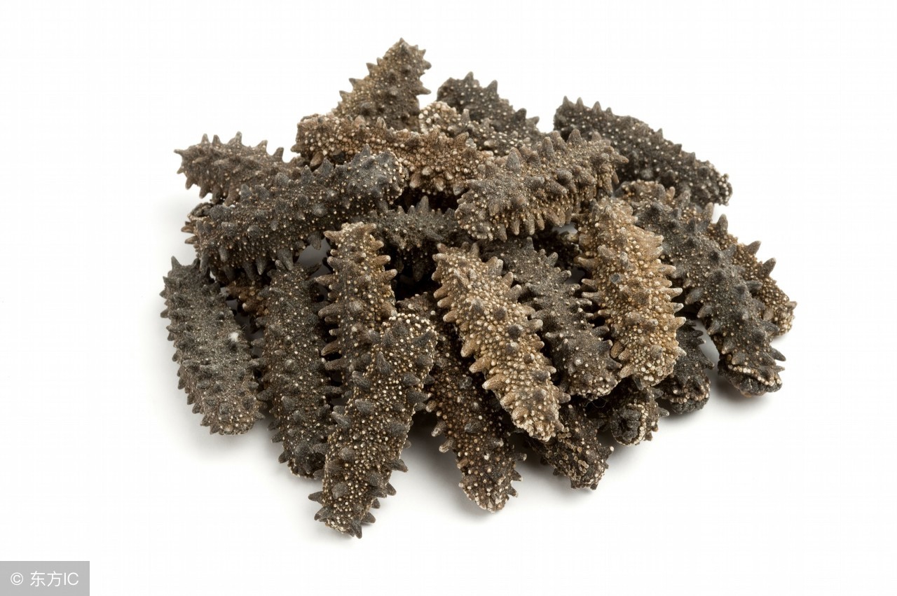 买海参注意事项,买海参注意事项有哪些