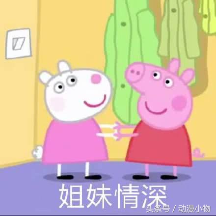 小猪佩奇表情包一点都不好笑,小猪佩奇表情包cool