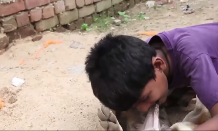 印度男子与流浪狗抢牛奶,印度男孩喝狗奶喝上瘾