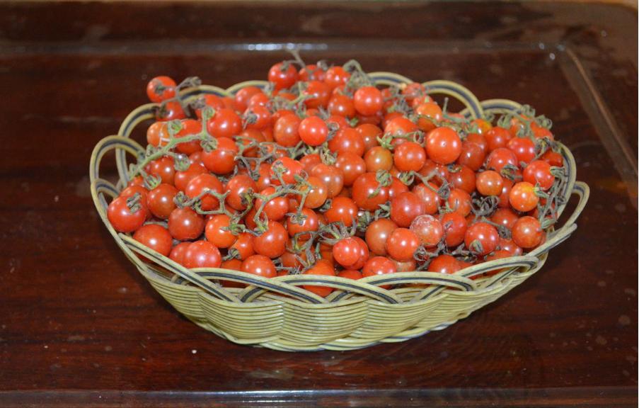 正宗贵州酸汤鱼的做法和配料,正宗贵州酸汤鱼配方