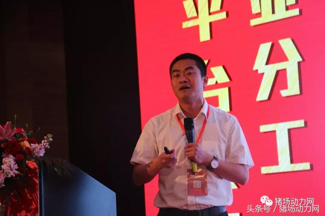 双胞胎饲料产能,双胞胎饲料销量