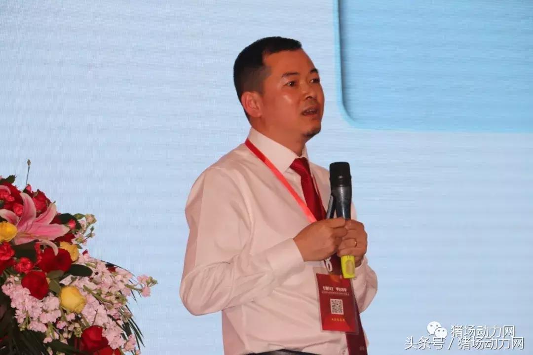 双胞胎饲料产能,双胞胎饲料销量