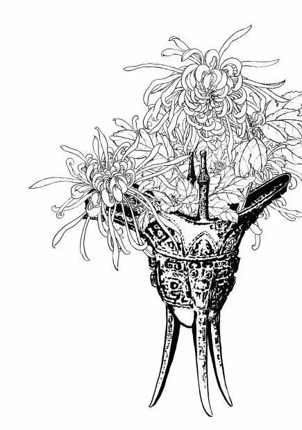 入门白描花卉菊花视频,白描菊花国画如何上色