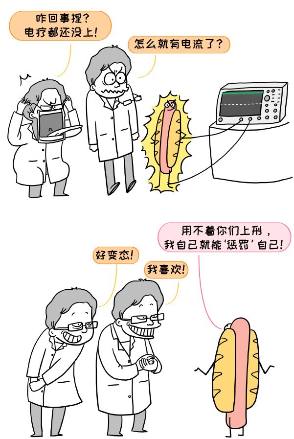 动动鼠标,超导量子处理器