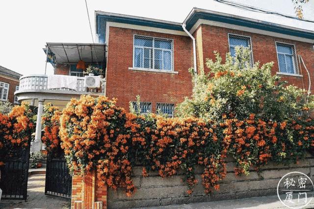 有了这份攻略,厦门攻略三天两晚不踩雷走心分享