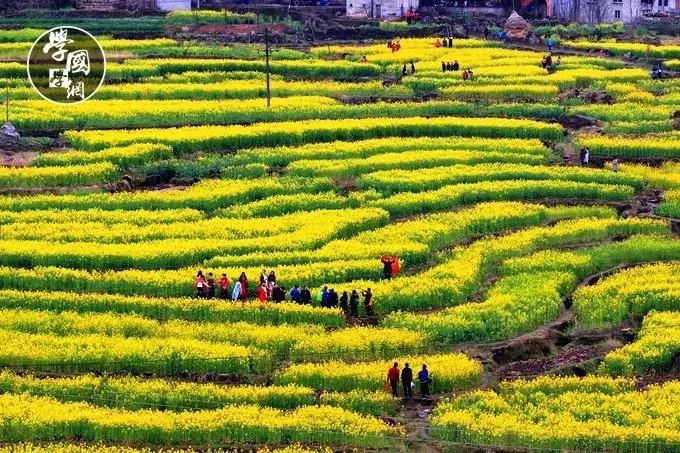 易经教你怎么活成自己想要的样子,易经教你做正确的选择