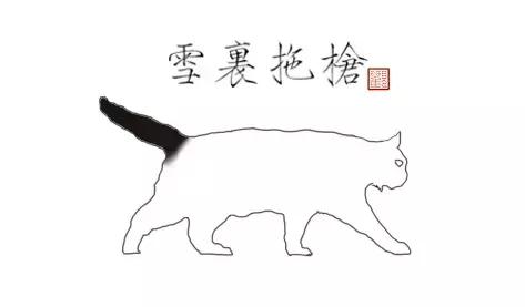 猫谱:因相成名,因名成谱《蓝毛毛找猫》24:猫出有名