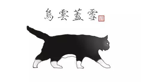 猫谱:因相成名,因名成谱《蓝毛毛找猫》24:猫出有名