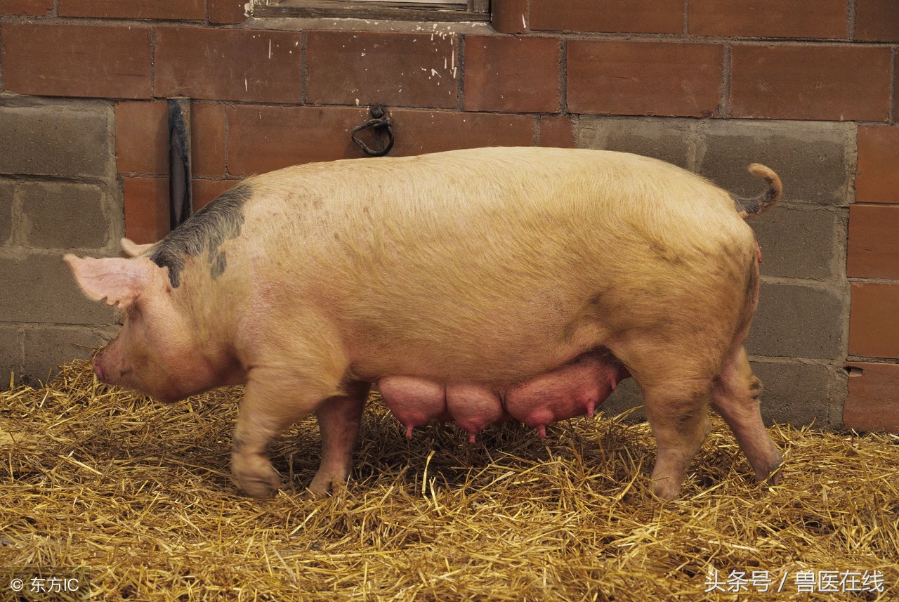 掌握三招,掌握三个技巧可以帮你事半功倍