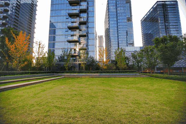 十大值得信任的开发商排行榜,杭州排名前十的房企