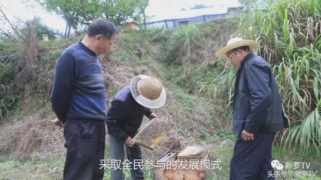 龙岩市新罗区龙门镇洋畲乡村旅游,新罗区龙门镇洋畲村
