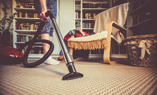 内衣里出现了虫子,内裤上突然发现有虫子