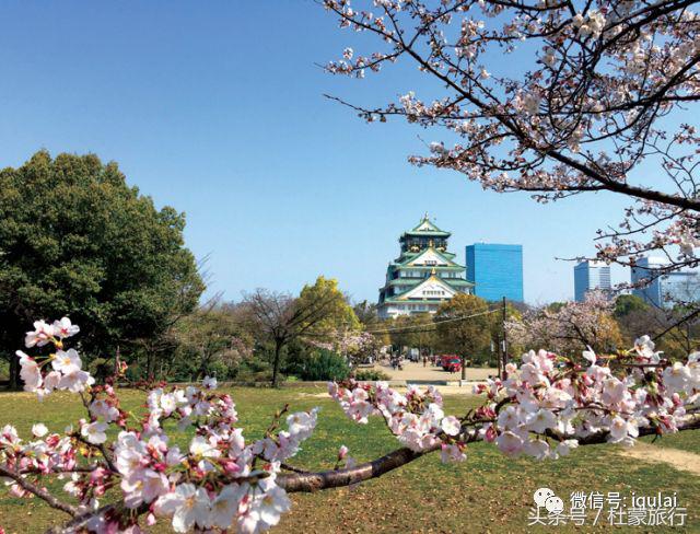 日本旅行消费如何,日本旅行花费与攻略的区别