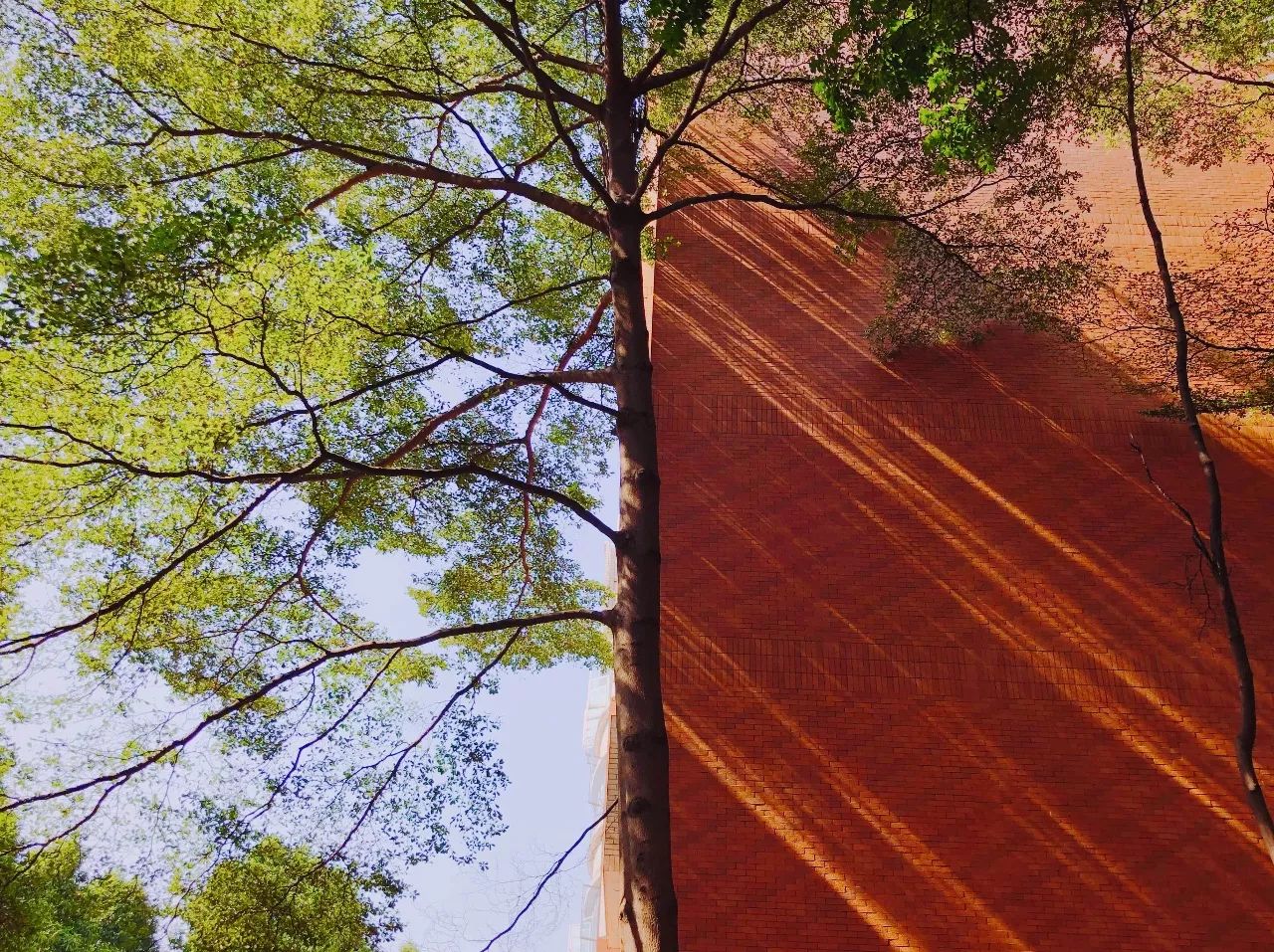 用什么app能拍出高级的照片,教你用手机拍出美哒哒的照片