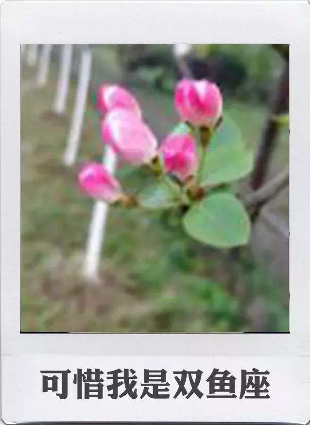 娃不吃奶瓶在线等的那位亲妈，快来收大招