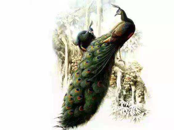 100句中国文学史上经典励志名言,中国古代35句励志名言