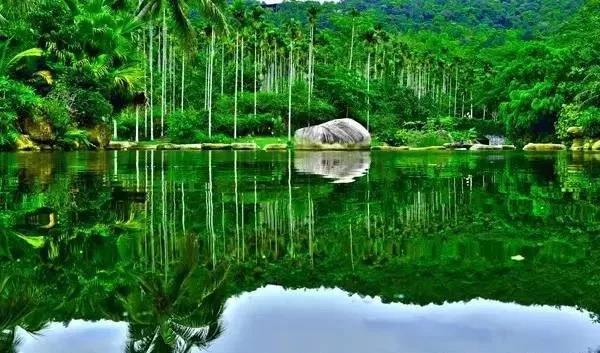 保亭七仙岭雨林仙境温泉度假别墅,海南保亭雨林仙境山湖墅