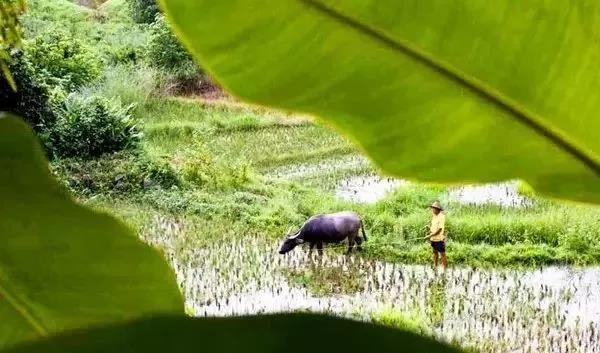 保亭七仙岭雨林仙境温泉度假别墅,海南保亭雨林仙境山湖墅