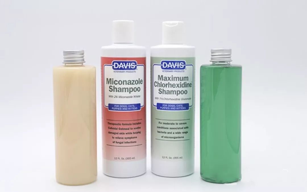 猫洗澡和spa哪个好,猫咪真的喜欢做spa