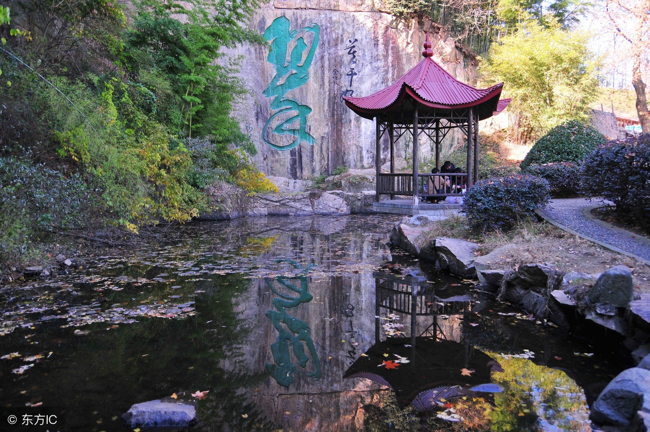 湖州旅游攻略有哪些好玩的,湖州长颈鹿庄园值得去吗