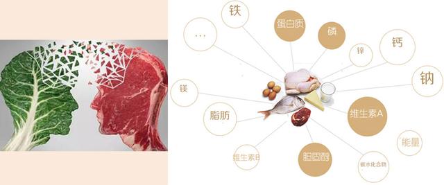 缺铁性贫血吃药需要补多久,缺铁性贫血怎么补最快孕期