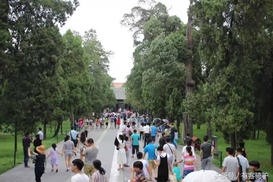 曲阜三孔孔府孔庙孔林二日游,曲阜孔庙孔府孔林自助游详尽攻略