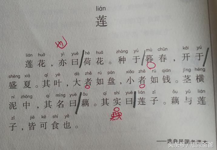 小学生应该如何学习小古文,学习小古文的方法技巧思维导图