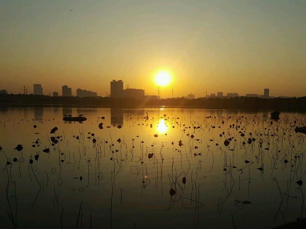 海珠湖国家湿地公园门票,海珠湖国家湿地公园西门