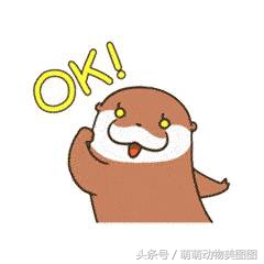 水獭与海獭哪个更可爱,萌动物科普