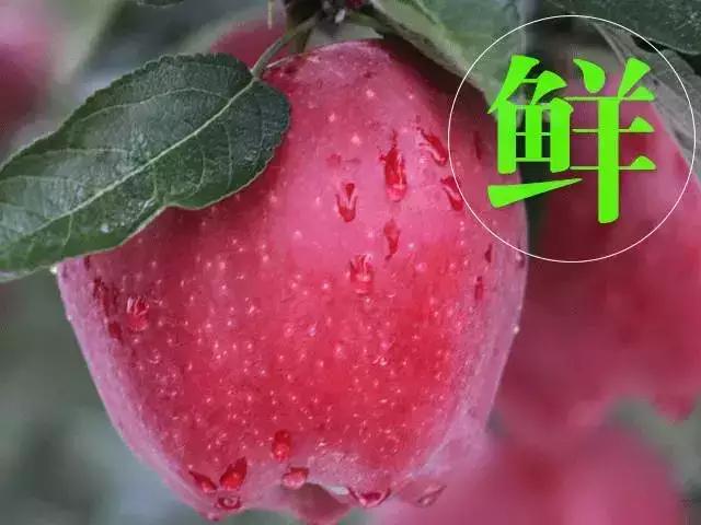 戏说陕西,戏说安徽