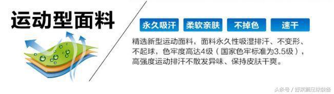 舒莱狮足球服湖绿,足球队服舒莱狮