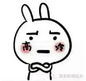 茂名附近吃的美食排行榜,茂名人喜欢吃的家常菜