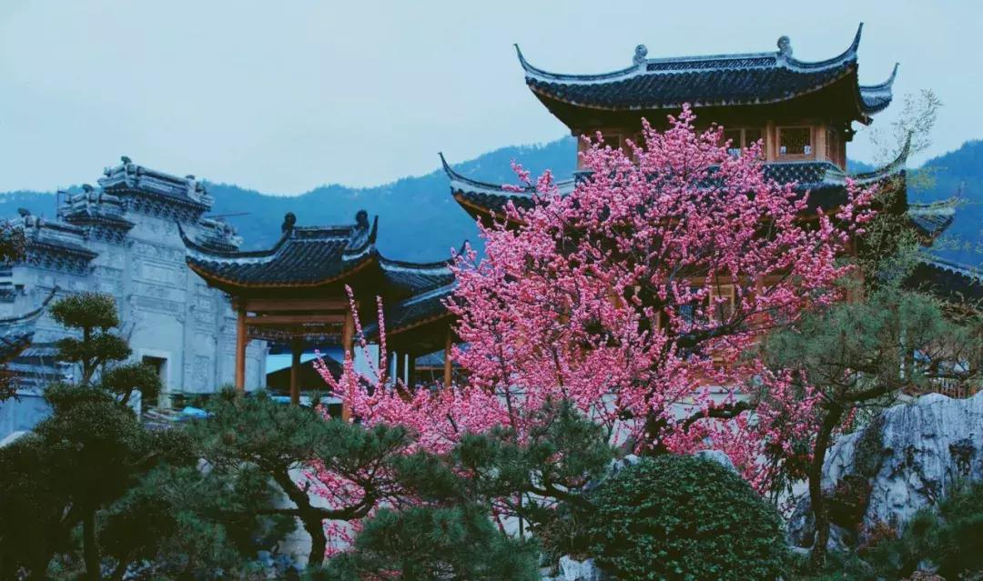 东阳有个慶蘭名宿,仿佛住进了博物馆,到处是珍藏级别的艺术品。