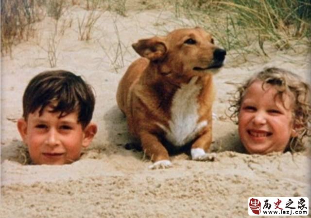 霍金本拉登高清壁纸,站着的霍金的照片