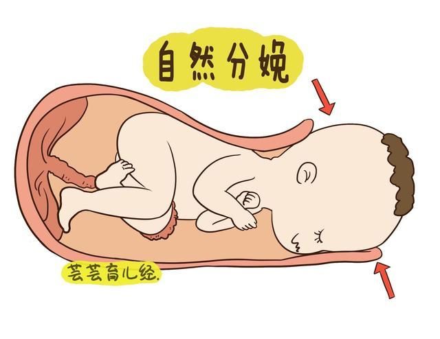 顺产与剖腹产的深度对比分析