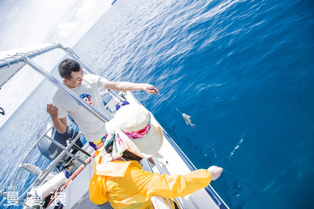 帕劳攻略详细教程,帕劳吃喝玩乐攻略