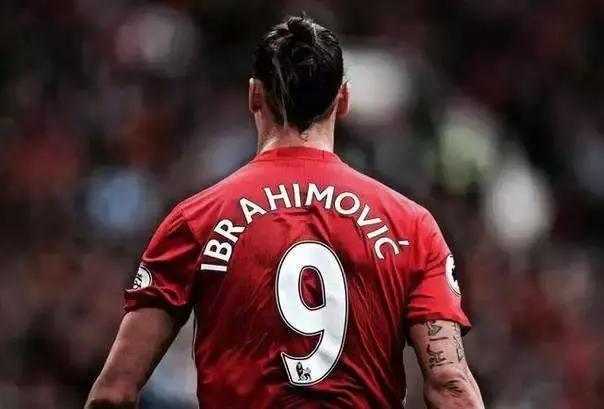 马中赤兔伊布视频,马中赤兔人中伊布什么意思