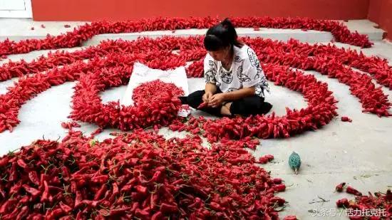 正北方网是什么意思,正北方网介绍