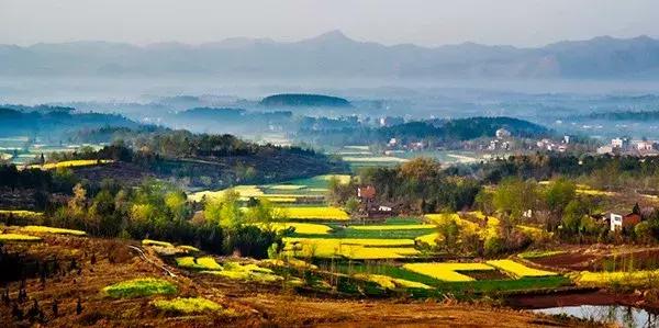 三年评先进,湖北表扬的10个县