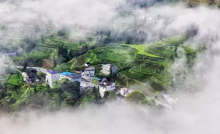 三年评先进,湖北表扬的10个县