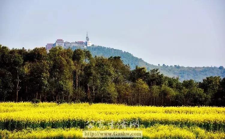 三年评先进,湖北表扬的10个县