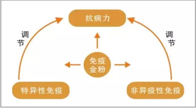 养殖母牛怎么赚钱,养牛要怎样才能致富