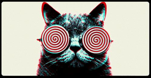 舒适又好看的美瞳,不显眼又好看的美瞳