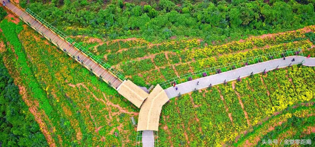 金堂玉皇山生态康养,金堂县玉皇养生谷详细介绍