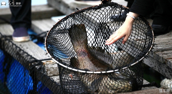 三亚东岛豪华游艇一日游,三亚东岛海鲜