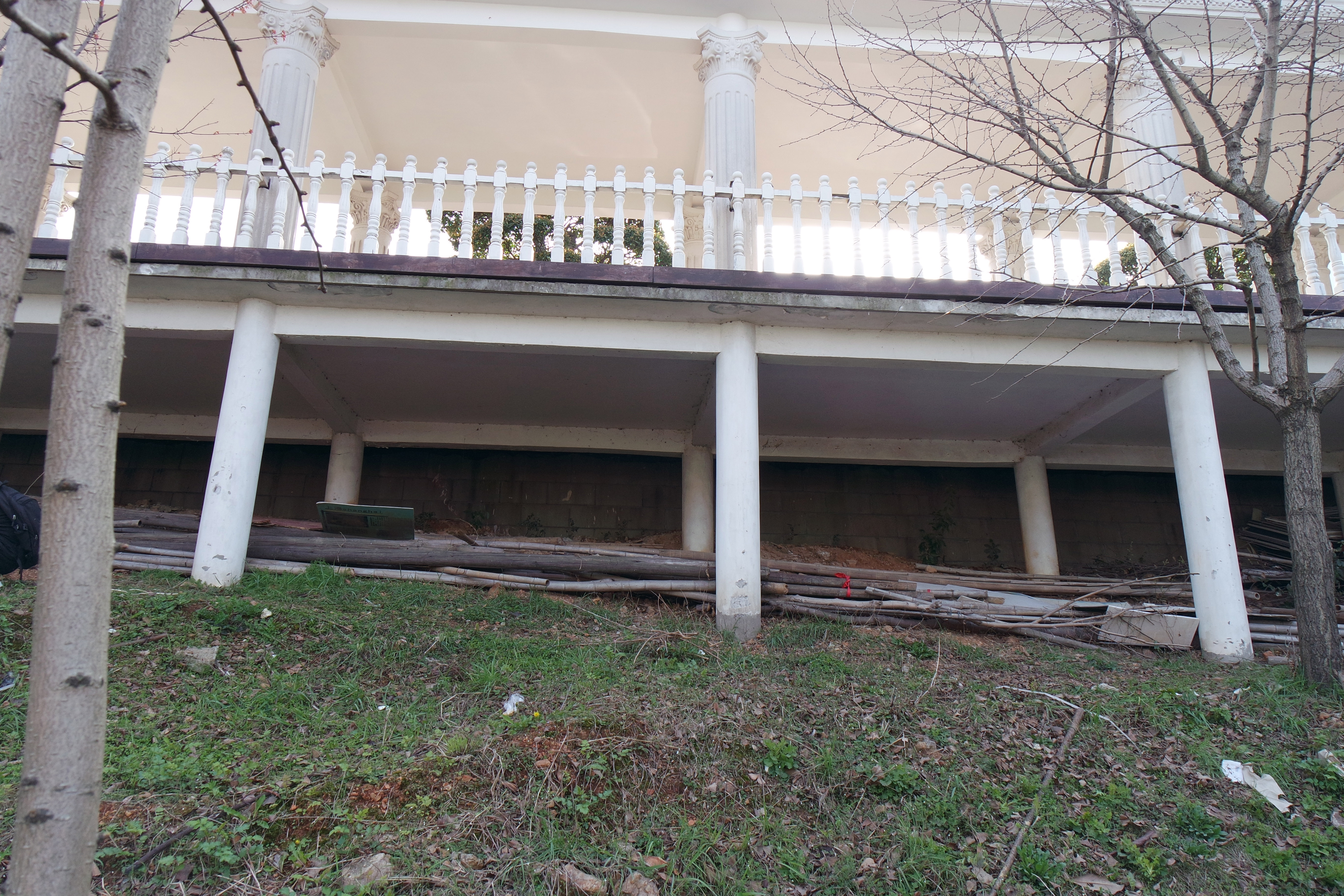 武昌理工学院的樱花,武昌理工学院回忆