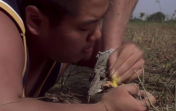 鍛ㄦ鼎鍙戞棭骞村悆楦¤泲杩欐缁忓吀鐗囨,鍚冮浮铔嬪懆娑﹀彂