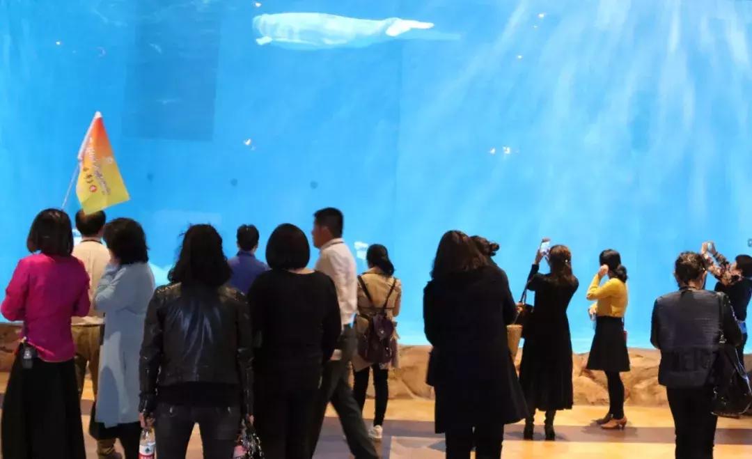 华夏文旅西安度假区免费旅游攻略,西安市华夏文旅西安度假区